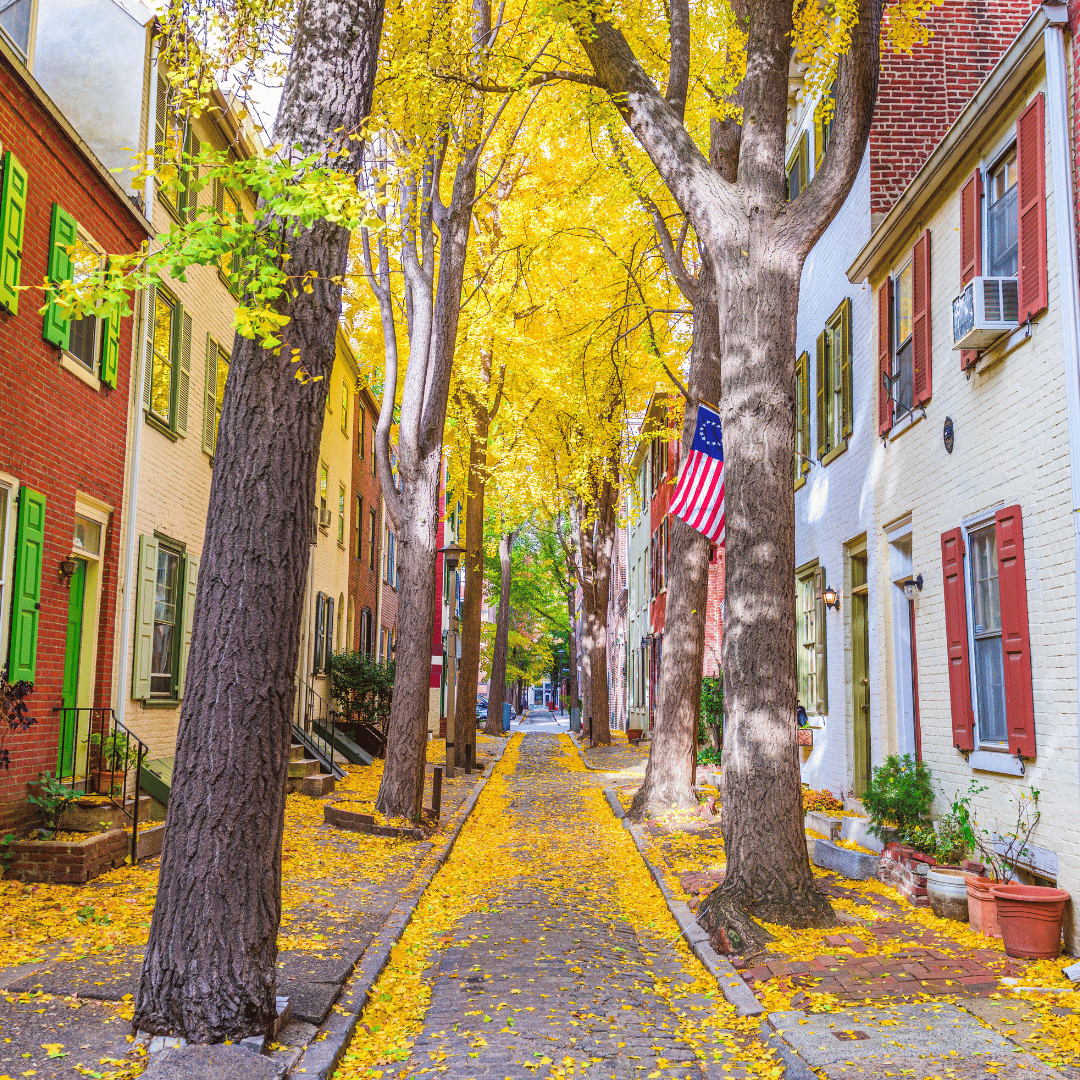 Philly Land Sites Wolf Commercial Real Estate Developers Suggest a MultibillionDollar Plan